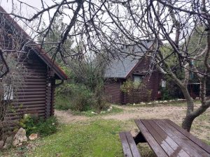 חופשת חורף בכפר הסקנדינבי בצפון