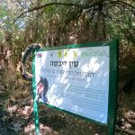 מעיין בצפון - עין דיבשה