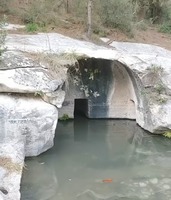 מעיינות באזור חיפה עין חשרת ליד רמות מנשה